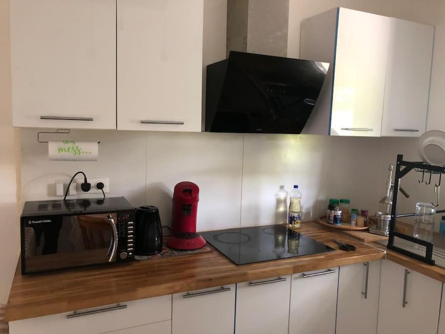 Logement Entier Entree Autonome Ch,Sdd,Cs Privatives Aussonne Экстерьер фото
