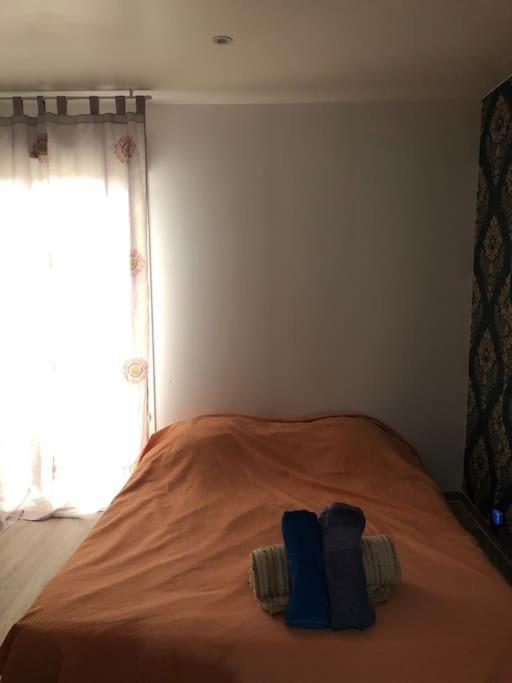 Logement Entier Entree Autonome Ch,Sdd,Cs Privatives Aussonne Экстерьер фото