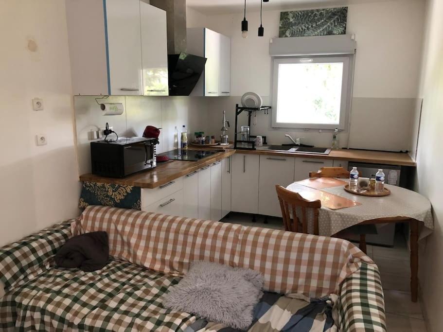 Logement Entier Entree Autonome Ch,Sdd,Cs Privatives Aussonne Экстерьер фото